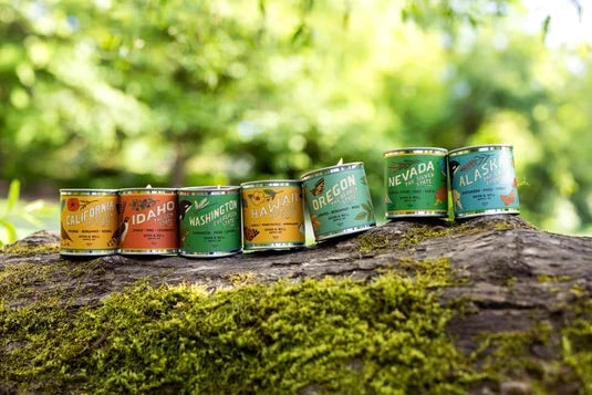 50 States Collection